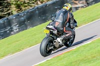 Oulton-Park-20th-March-2020;PJ-Motorsport-Photography-2020;anglesey;brands-hatch;cadwell-park;croft;donington-park;enduro-digital-images;event-digital-images;eventdigitalimages;mallory;no-limits;oulton-park;peter-wileman-photography;racing-digital-images;silverstone;snetterton;trackday-digital-images;trackday-photos;vmcc-banbury-run;welsh-2-day-enduro